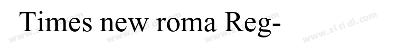 书宋Times new roma Reg字体转换